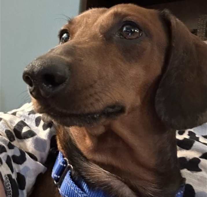 Photo of Chacho