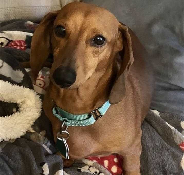Photo of Chicho