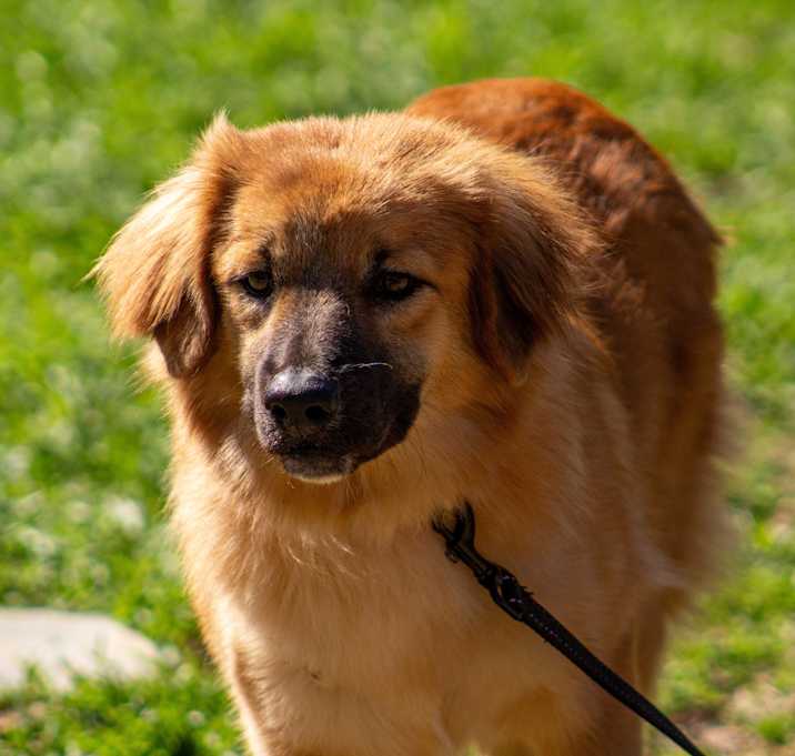 Photo of Dottie