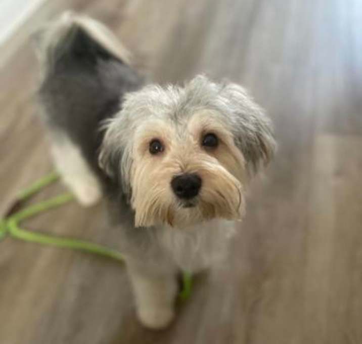 Photo of Pal