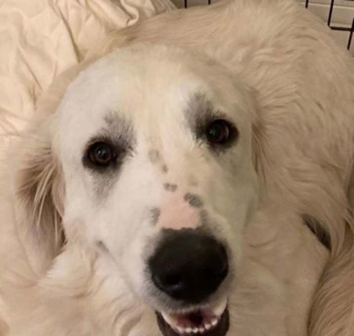 Photo of Molly