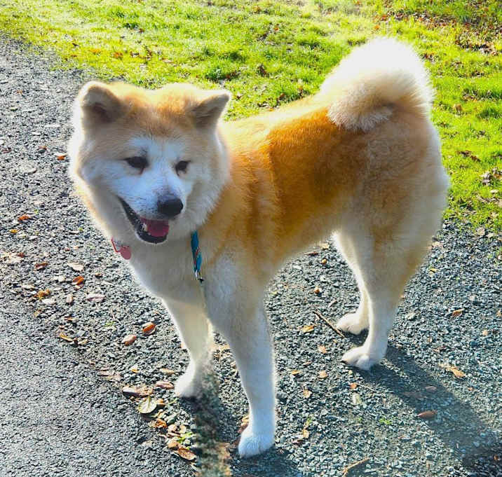 Photo of Hiromi