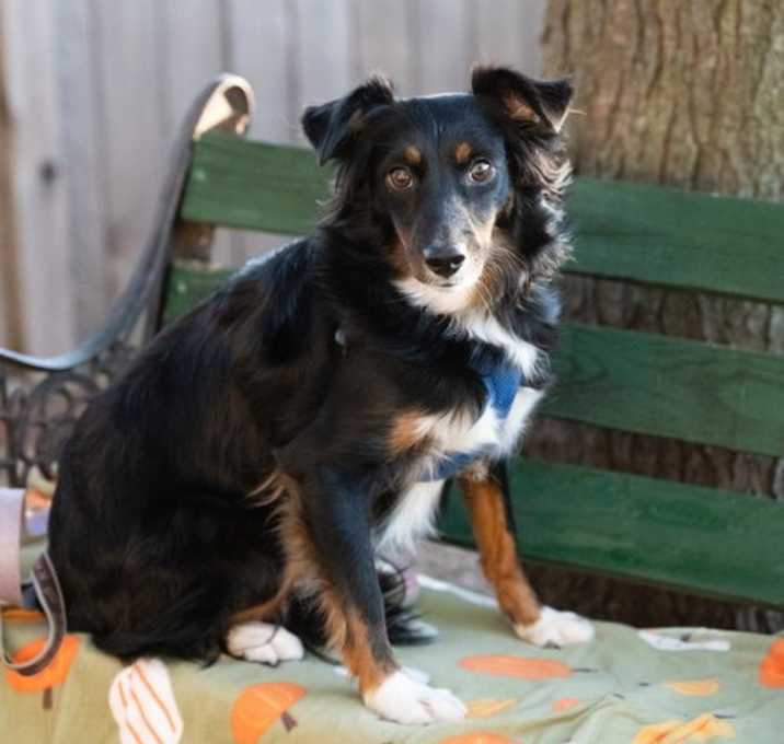 Photo of Magi