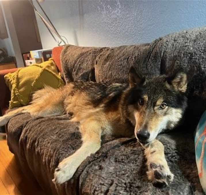 Photo of COURTESY POST FOR EUGENE OREGON: Keira