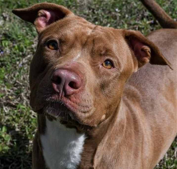 Photo of Frankie (fka River)