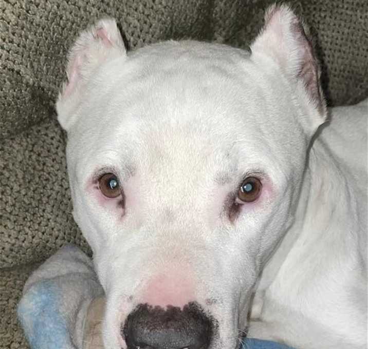 Photo of Rayy Dubbs