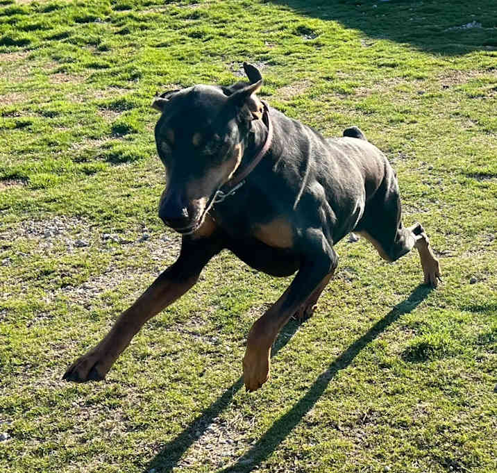 Photo of Duchess