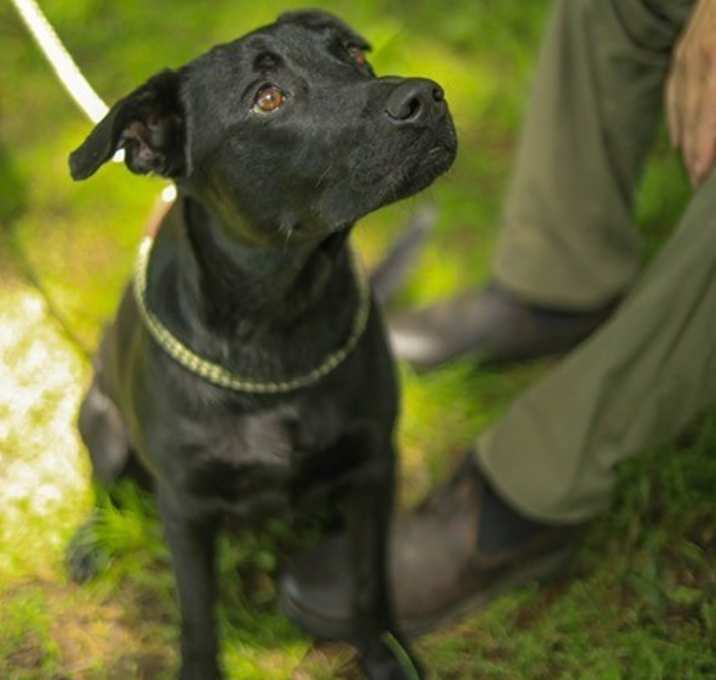 Photo of Jack