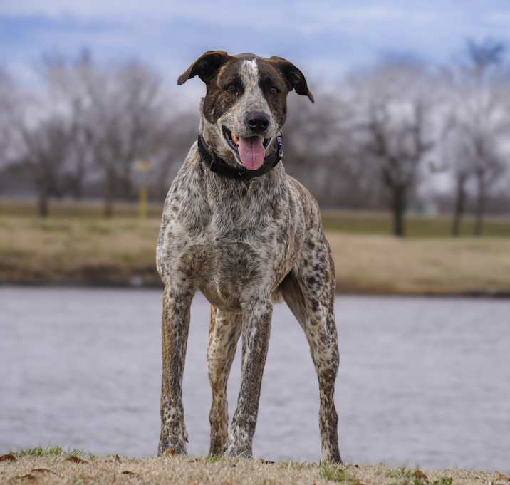 Photo of Willie