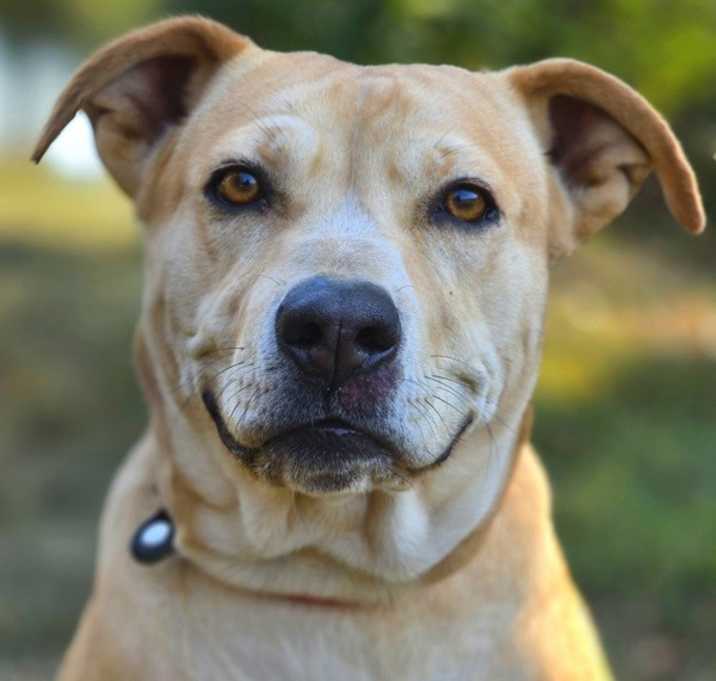 Photo of Charity