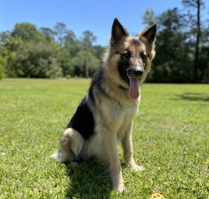 Photo of Ruby