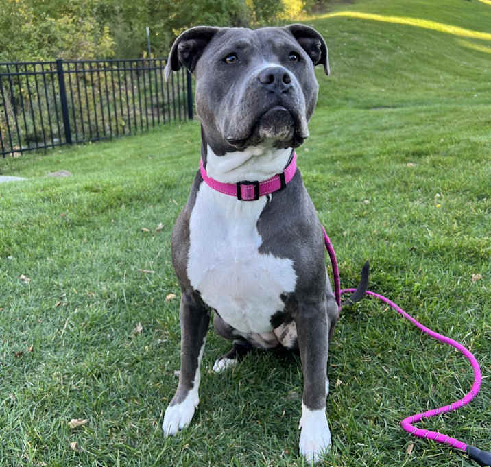 Photo of Surly