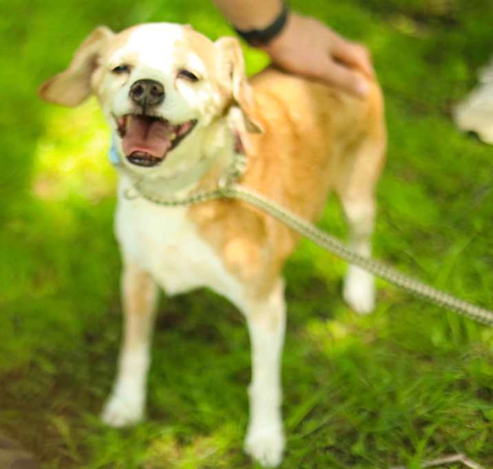 Photo of Benny