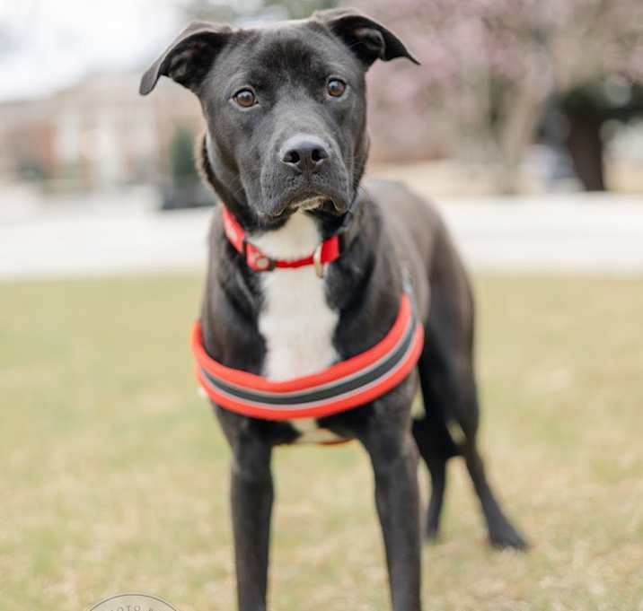 Photo of Bagel - Courtesy Post