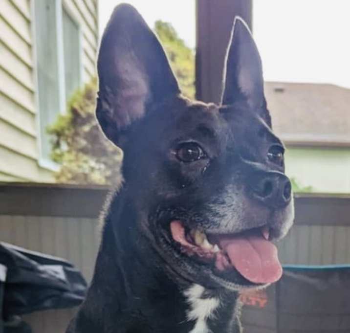 Photo of Miss Brownie