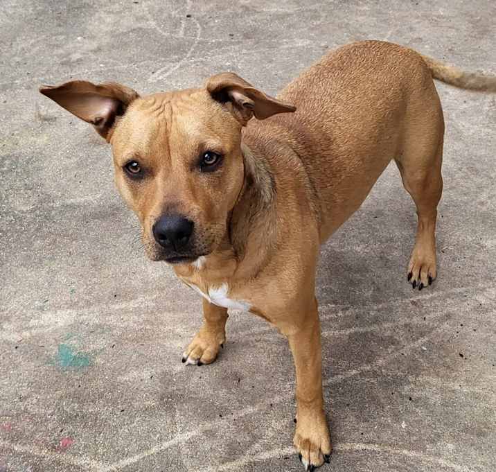 Photo of Sapphire