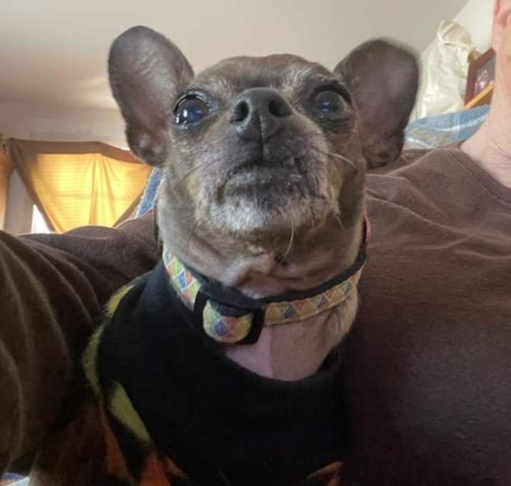 Photo of BLANCHE