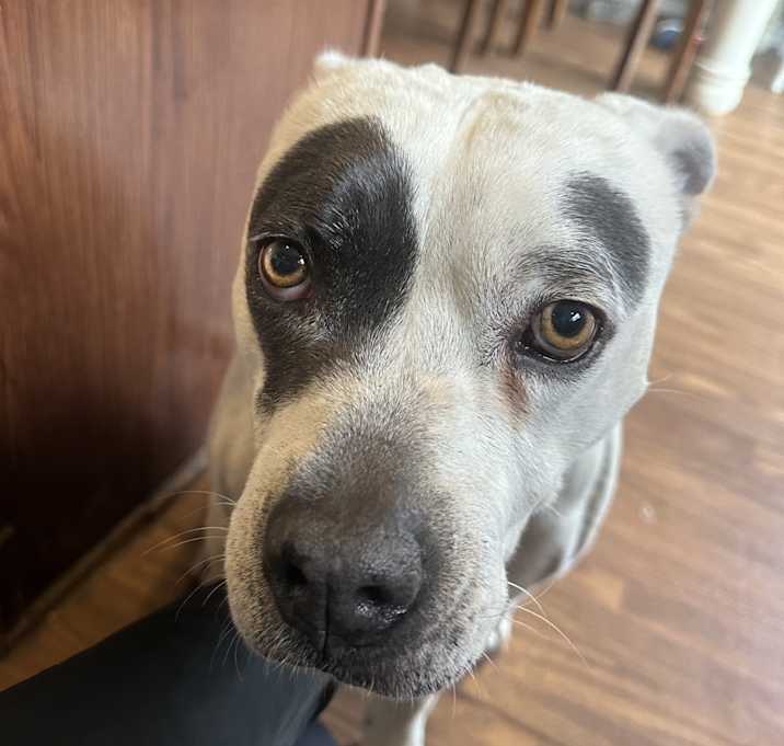 Photo of Happy