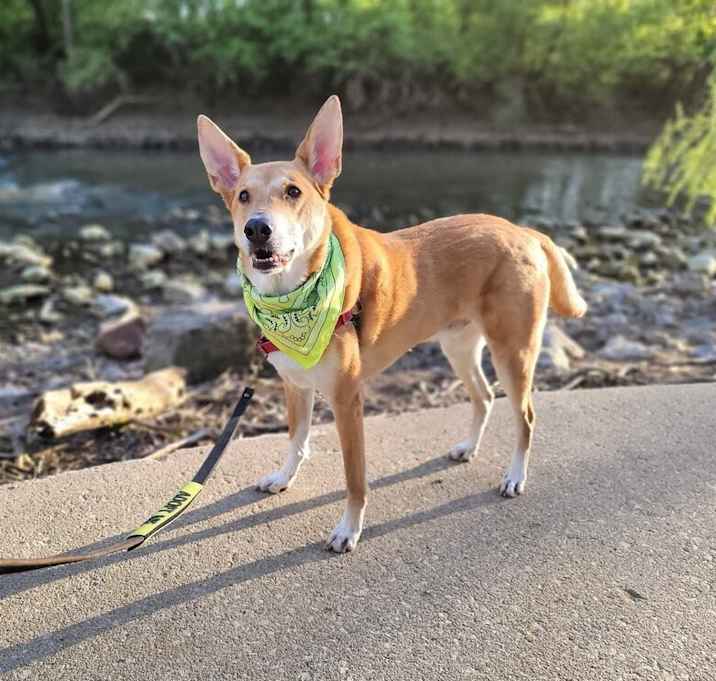 Photo of Jasper