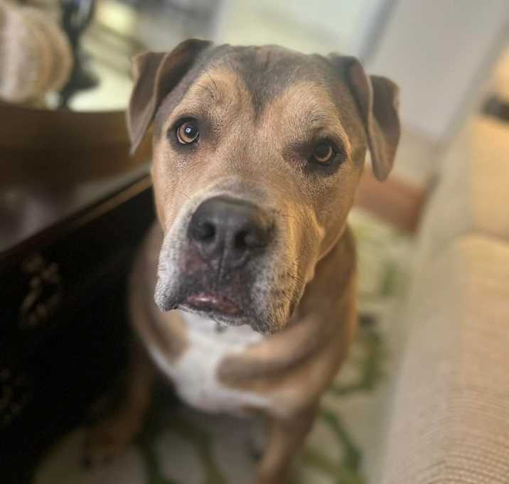 Photo of Uhtred aka Ooty