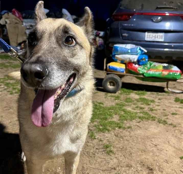 Photo of Chase