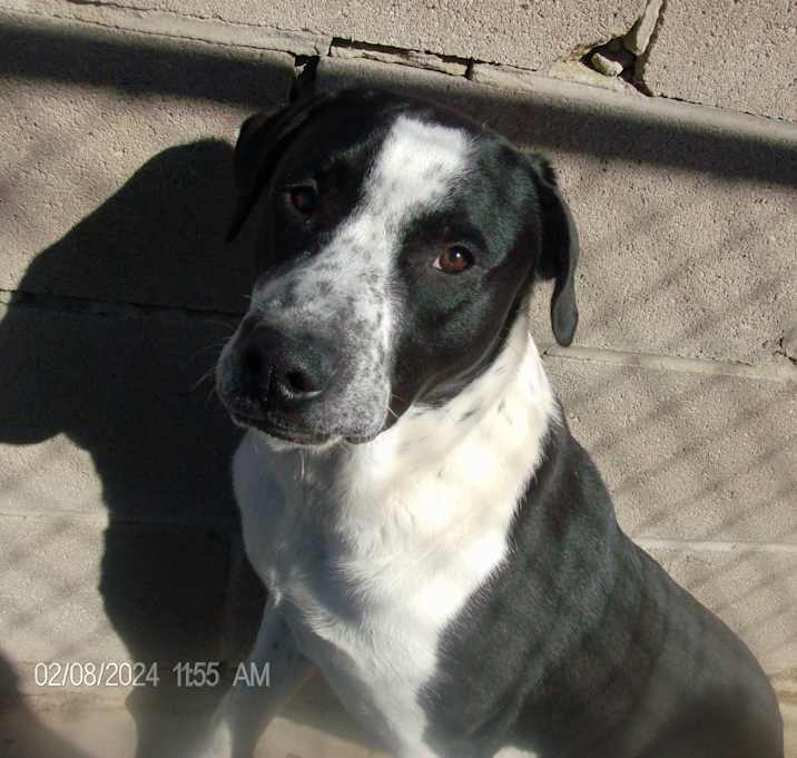 Photo of RODNEY