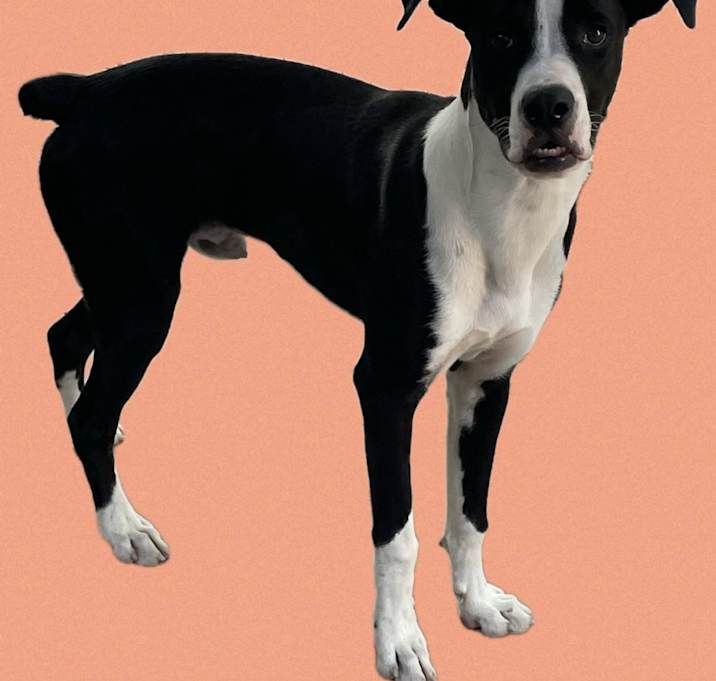 Photo of Vinnie