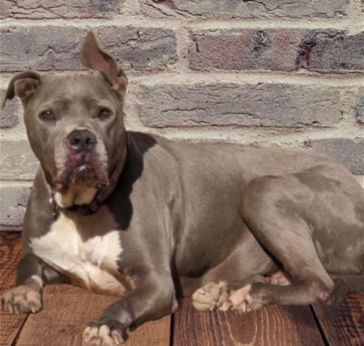 Photo of THOR THOR