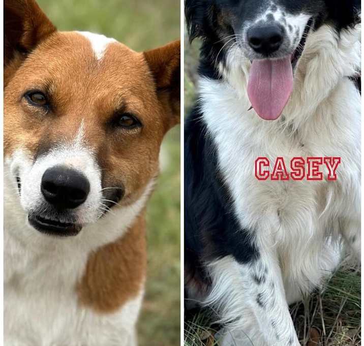 Photo of Lolo and Casey