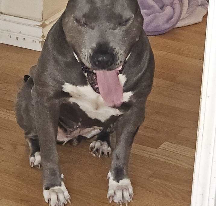 Photo of Bonnie