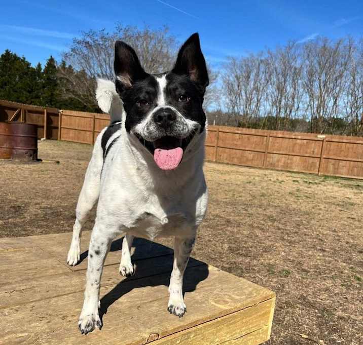 Photo of Jolene