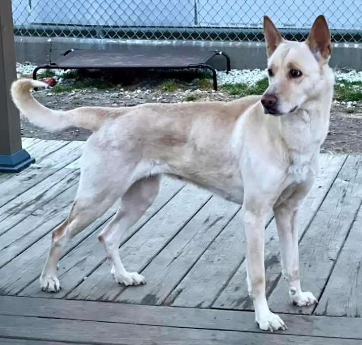 Photo of Griselda (Bella)