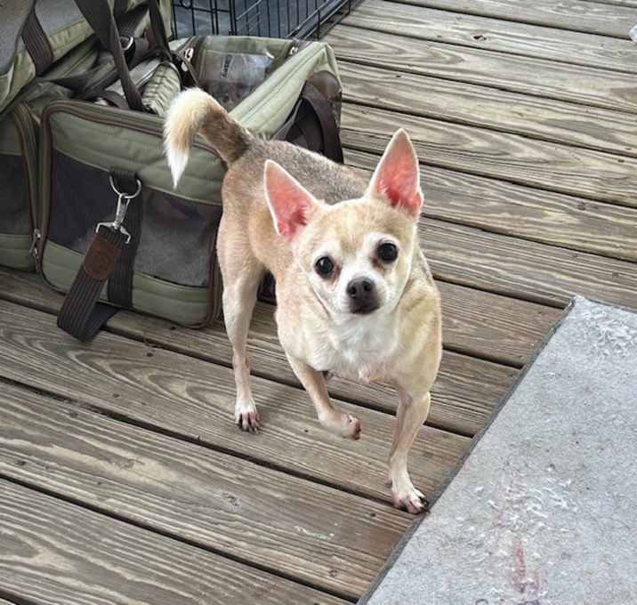 Photo of Casey