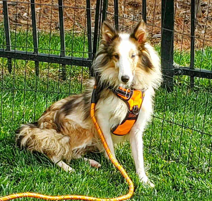 Photo of Athena
