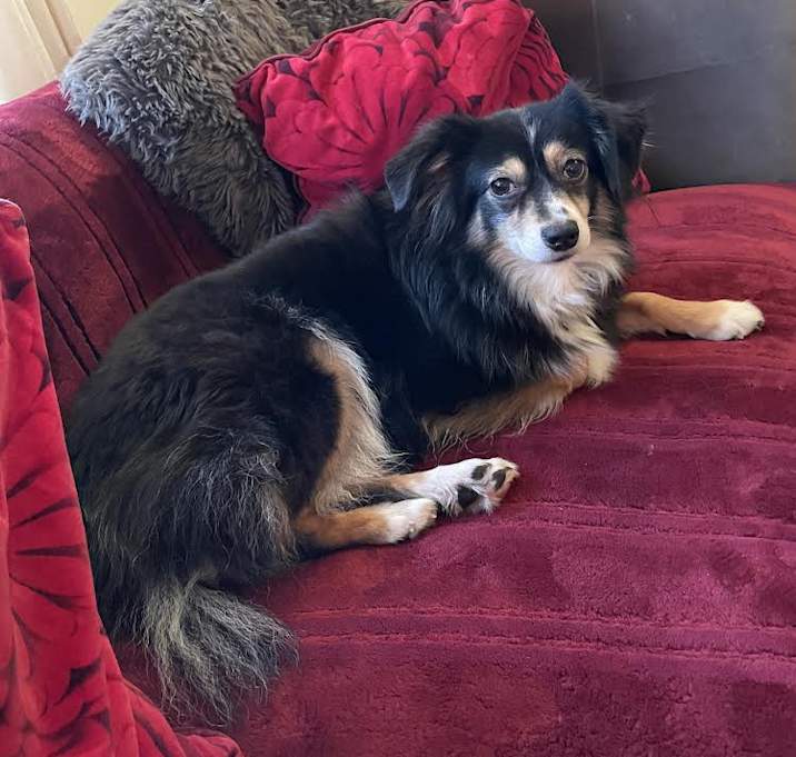 Photo of Catherine (Gigi)
