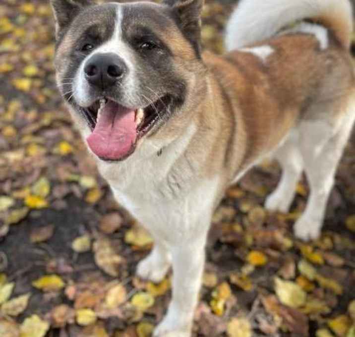 Photo of Tobi
