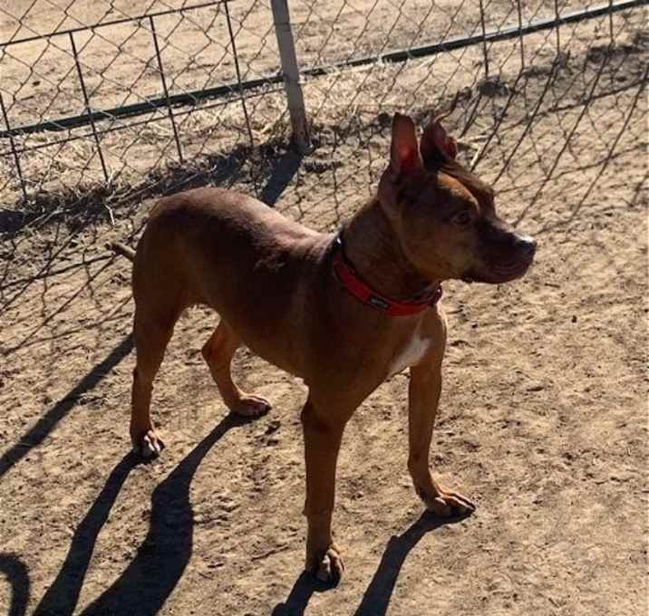 Photo of Chili