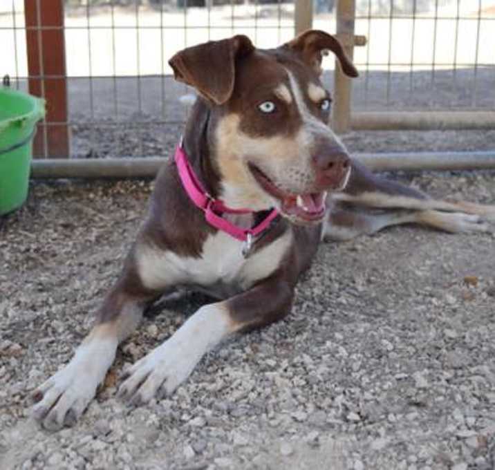 Photo of Maggie 9-9-23
