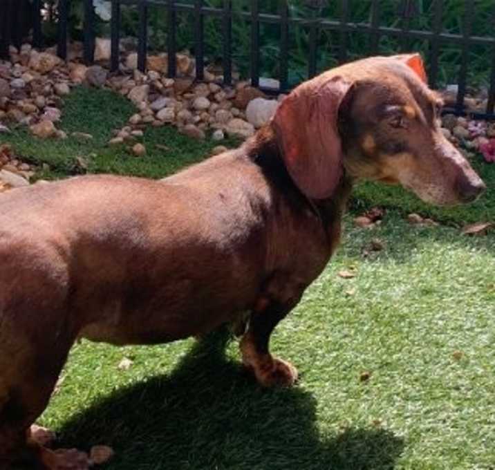Photo of Lulu