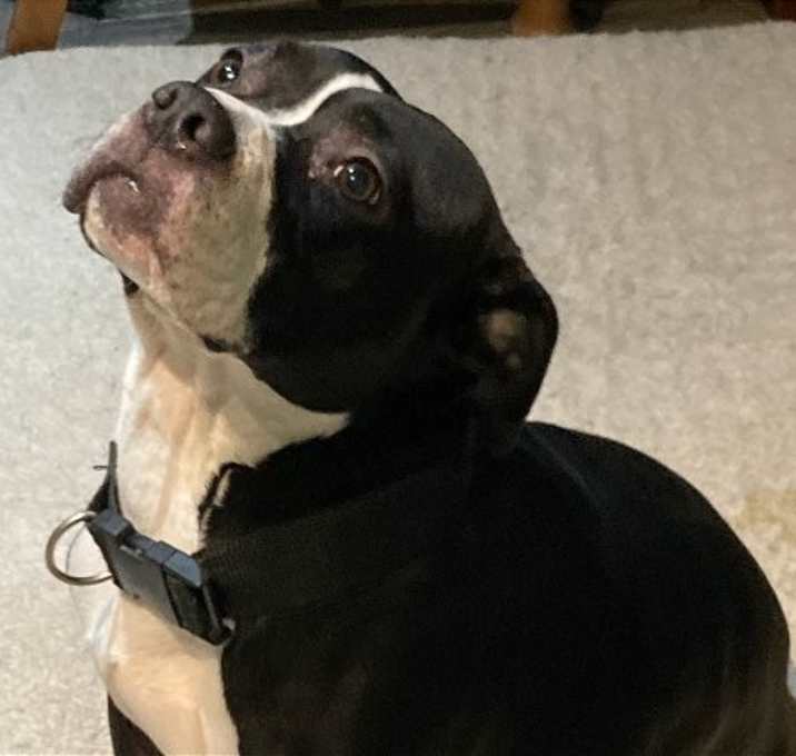 Photo of Athena