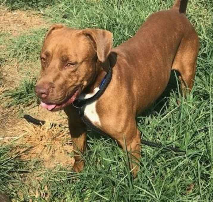Photo of Little Red