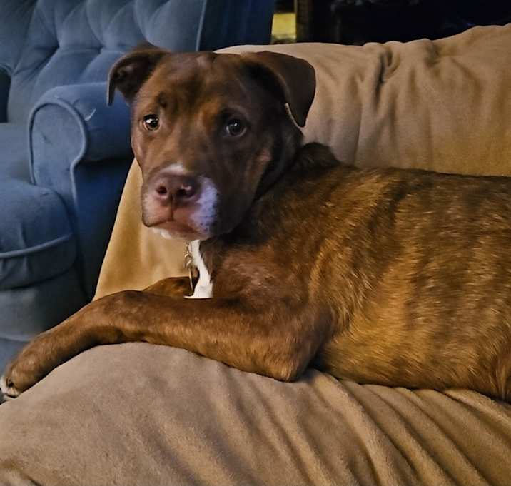 Photo of Milo
