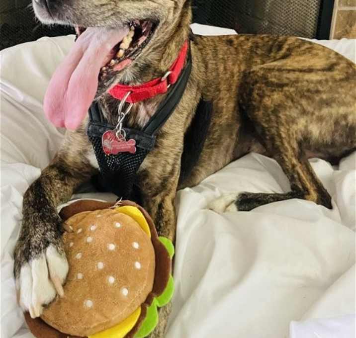 Photo of Waylon
