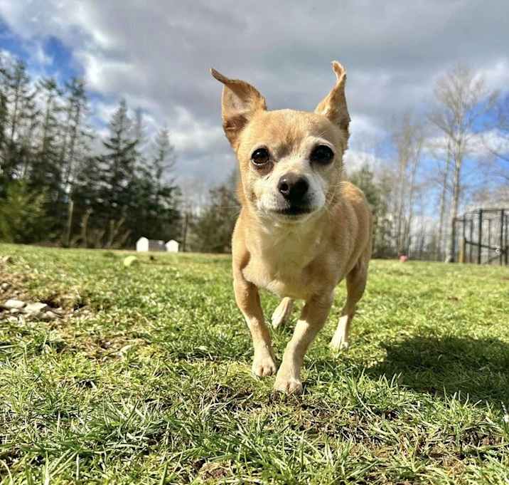 Photo of Mr Bear