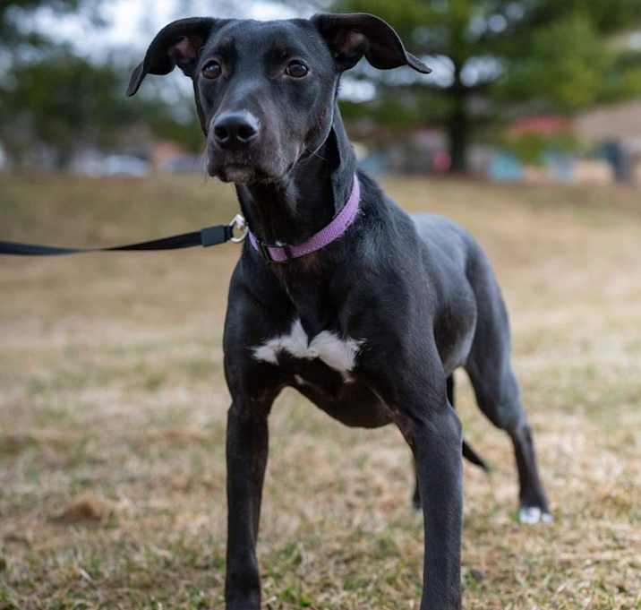 Photo of Hope