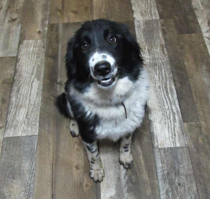 Photo of Maisie