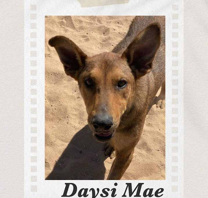 Photo of Daysi Mae