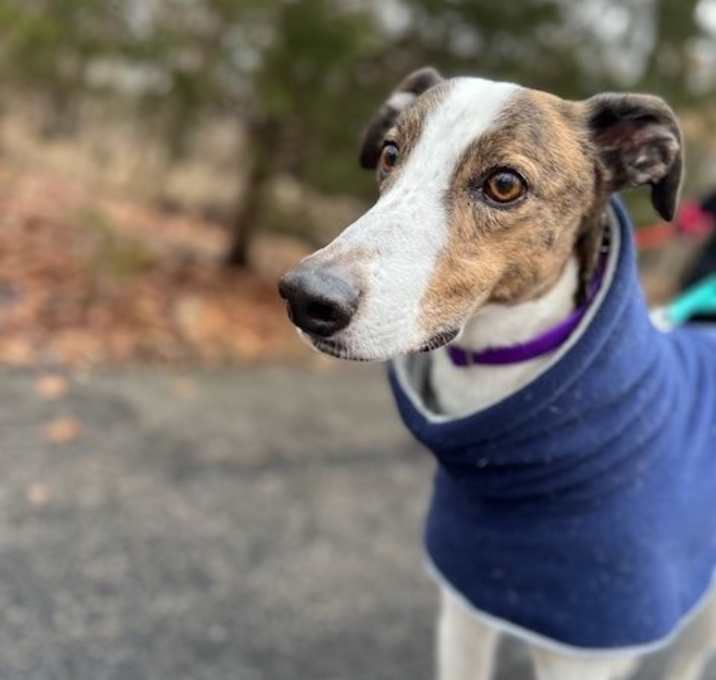 Photo of Charlie