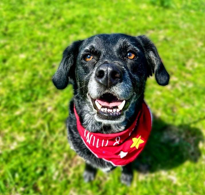 Photo of Chase