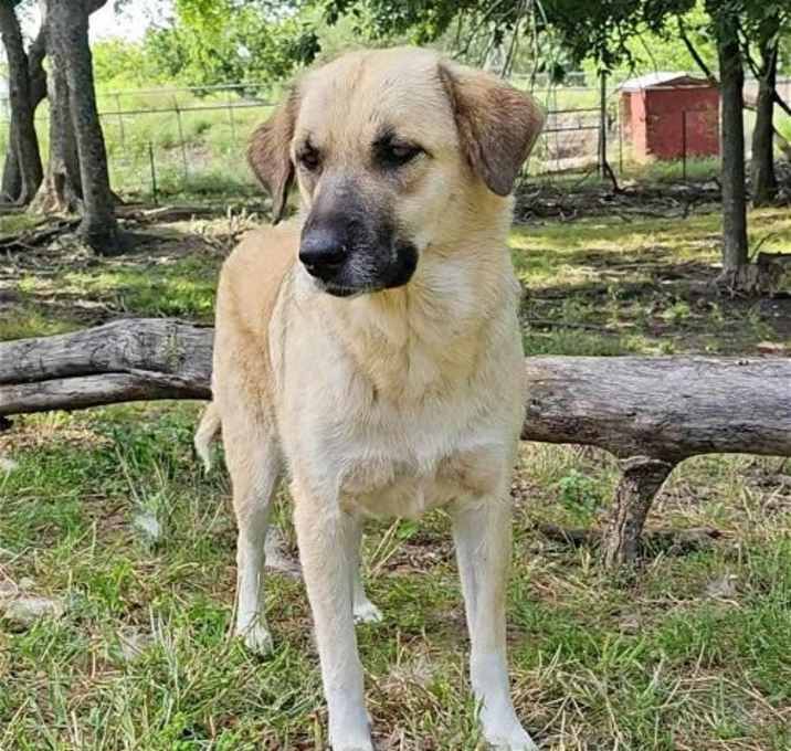 Photo of Sasha